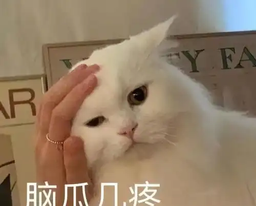  高学历九零后心塞感叹寒窗20年硕博连读,月薪只能勉强过万