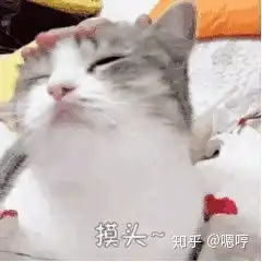  武汉科技大学城市学院的护理学专业值得读吗前景如何