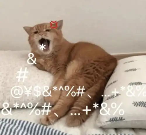  萌萌专用