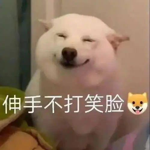 扁嘴伦表情包沙雕