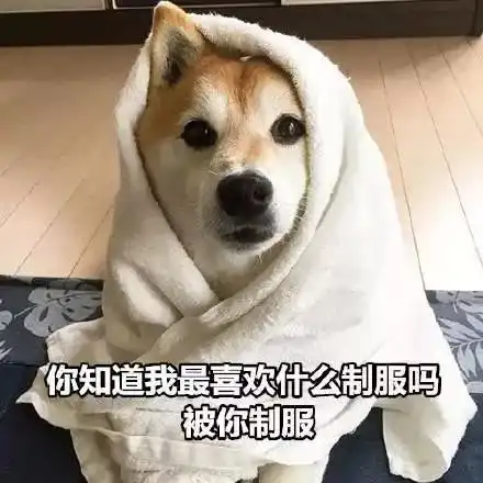 全网最大尺度情侣表情包,男票看完疯狂害羞心跳