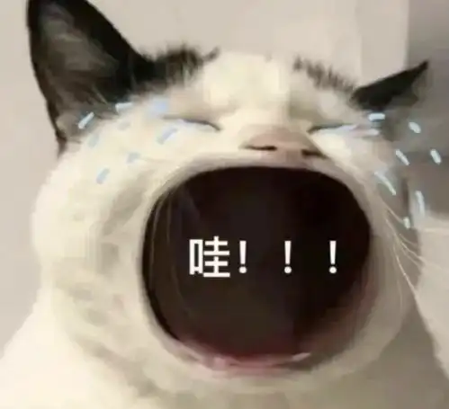 龙图表情包杀妈黑鲨