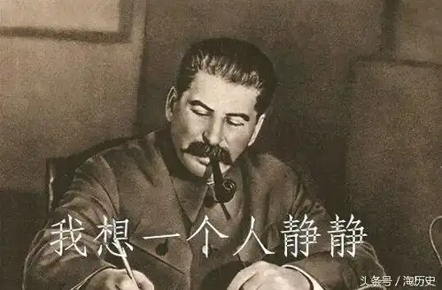 微信中老年动态表情包斯