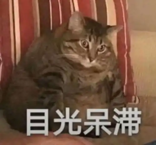  情侣聊天必备可爱表情包还发熊猫头是想吓跑对象吗