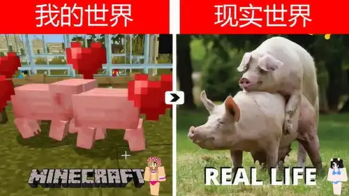  游游解说我的世界现实vs游戏,挖木头与喂猪