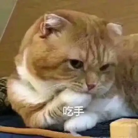  百团大战,谁与争锋