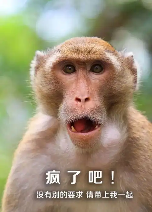  兴博家园城南别墅级洋房买房就送壁挂炉免暖气费
