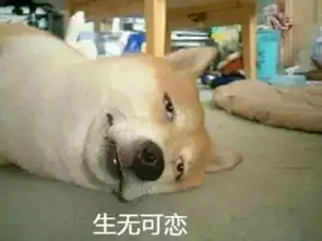  求这个柴犬表情包的原图不要有p上去的眼睛嘴巴文字什么