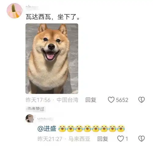  笑不活了教你如何检验是否买到真柴犬引热议,我却笑死在评论区