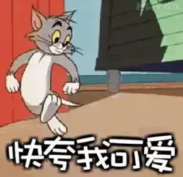 表达谢谢的表情包可爱猫