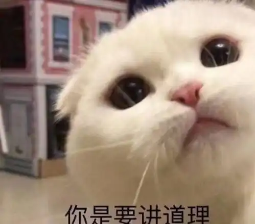  超全的猫粮挑选指南,很多铲屎官看完都说太对不起自家猫咪了