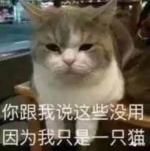  巴沙鱼这么便宜,是用饲料喂出来的吧