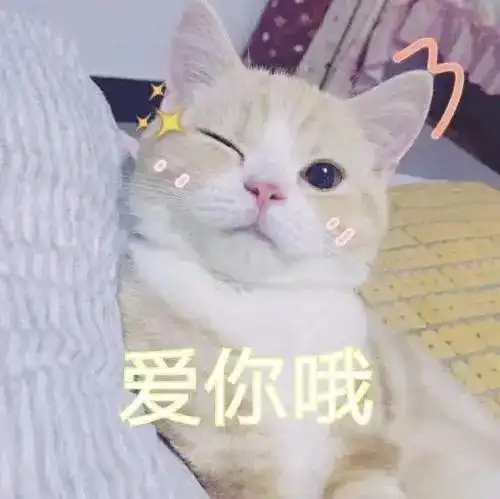  整块鸡胸,丝丝美味,冻干鸡胸肉了解一下