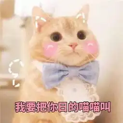  撩女友专用表情包,我帅我先睡了