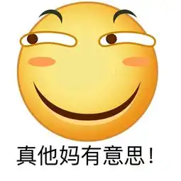  一个看雪的南方人和一群看南方人的北方人