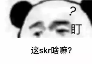 表情包开心什么意思skr