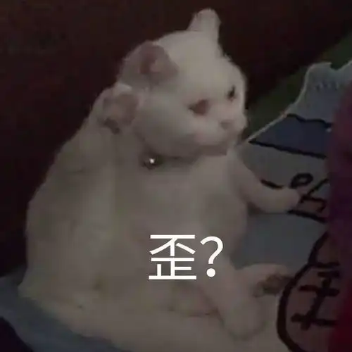  有哪些适合聊天时开头的表情包