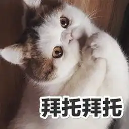  性命攸关在奥地利生活的你必须知道