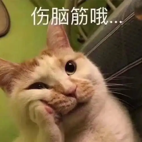  必看博君一肖神仙文案