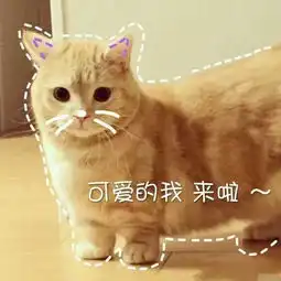  喵收藏夹