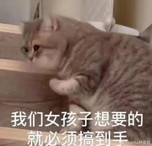  云歌会并不止小情侣和导演