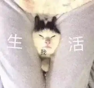  4204元北海最新平均薪酬出炉,拖后腿我从来没输过