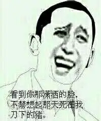  哪个美丽些求回答