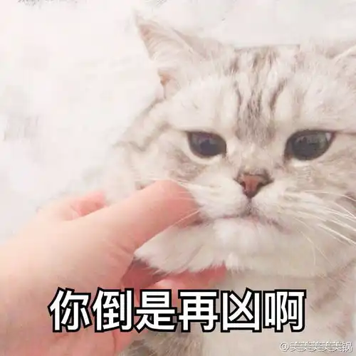  请问这种文字是用什么软件p上去的,谢谢