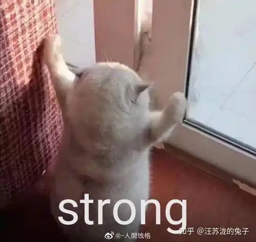 喝奶茶表情包图片头像