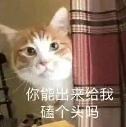  表情包万般皆苦,你是甜头