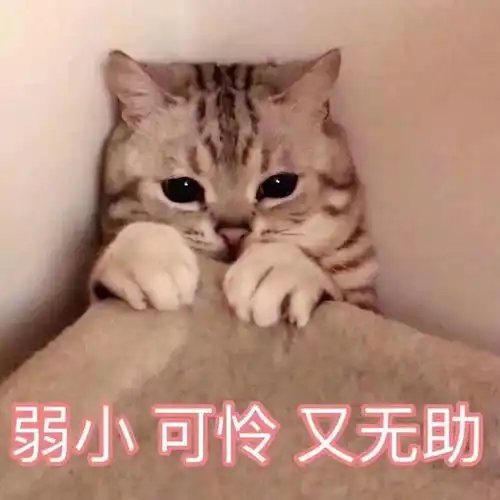  我们为什么要学习英语
