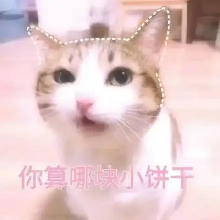  和我斗图你怕是不要输得太厉害哦