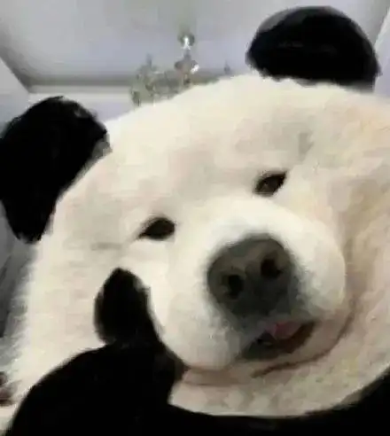 嘟嘟大魔王越坏表情包托