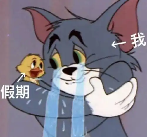  进来收图论表情包,我还从来没输过