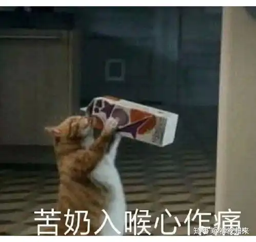  你怎么看待爱情和婚姻怎么维护好一段爱情你的年龄