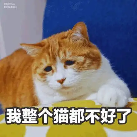  粤语十级又如何这些广东方言全部听得明算我输