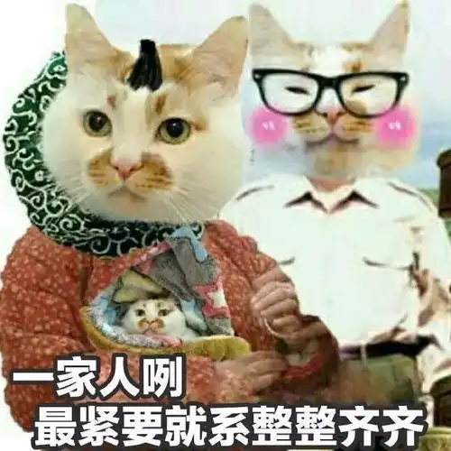  泪网红猫楼楼去世,我的表情包回到了汪星球...