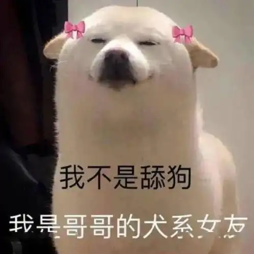  舔狗必备表情包今天该舔谁好呢