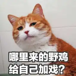  戛纳红毯妖风四起老戏精不吸睛,亮辣眼的居然是野鸡