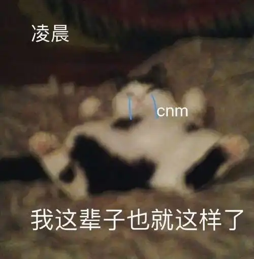  有哪些倔强穷人必备的沙雕朋友圈文案