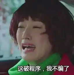 我的前半生程序员版表情包