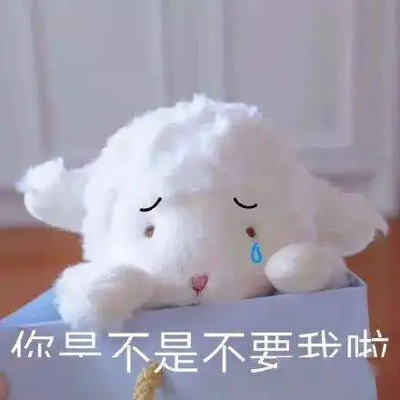  这是哪来的野鸡