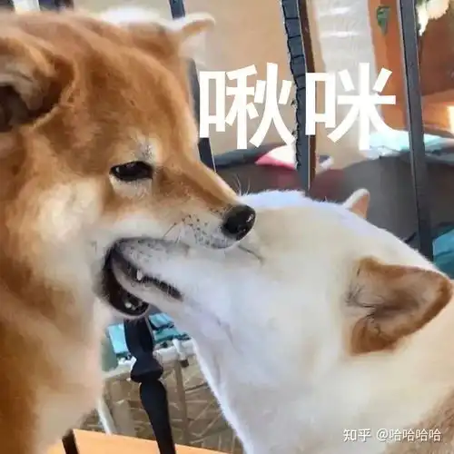  听说这届大学生,已经不配回家过年了
