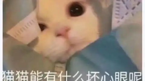  你tizzyt你已经那么聪明别计较公不公平
