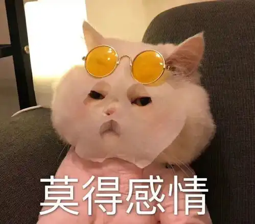  猫咪表情包合集两眼一闭,当你放屁养猫