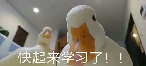 表示好奇的可爱表情包大