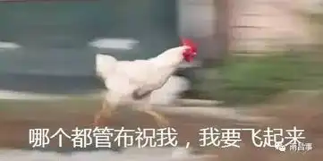  微信群斗图必备皮皮虾我们走,南昌宁专用表情包