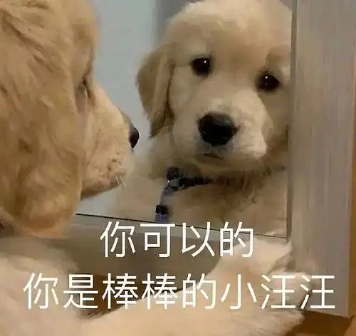  学习
