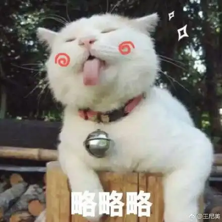 动物可爱表情包