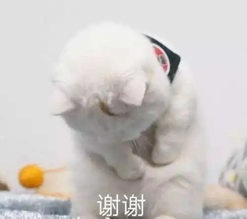  合成海报的创意来源一